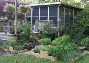 New Herb Garden from side.