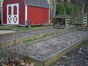 April view of barn and garden.