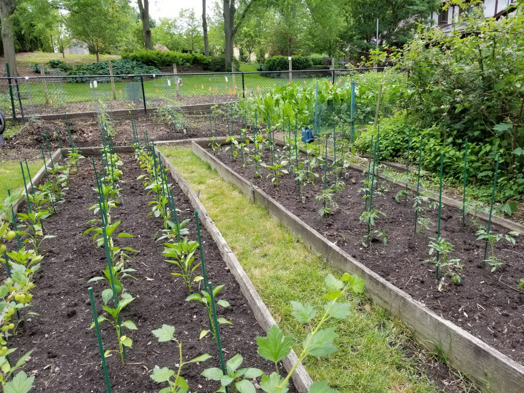 2018 Garden Planting Complete.